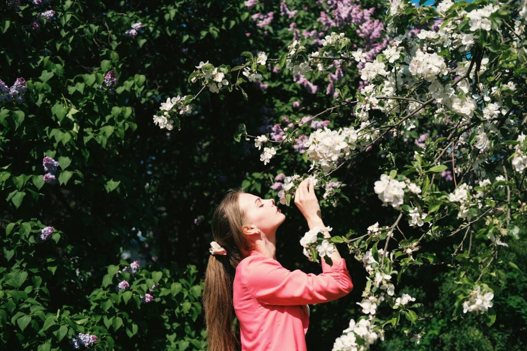 como-prevenir-las-alergias-de-primavera-y-disfrutar-al-aire-libre